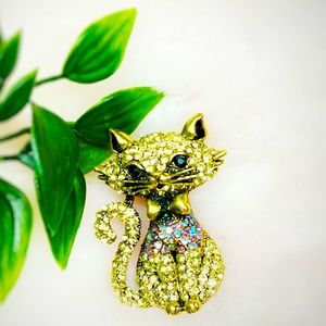 Kitten Brooch🐈